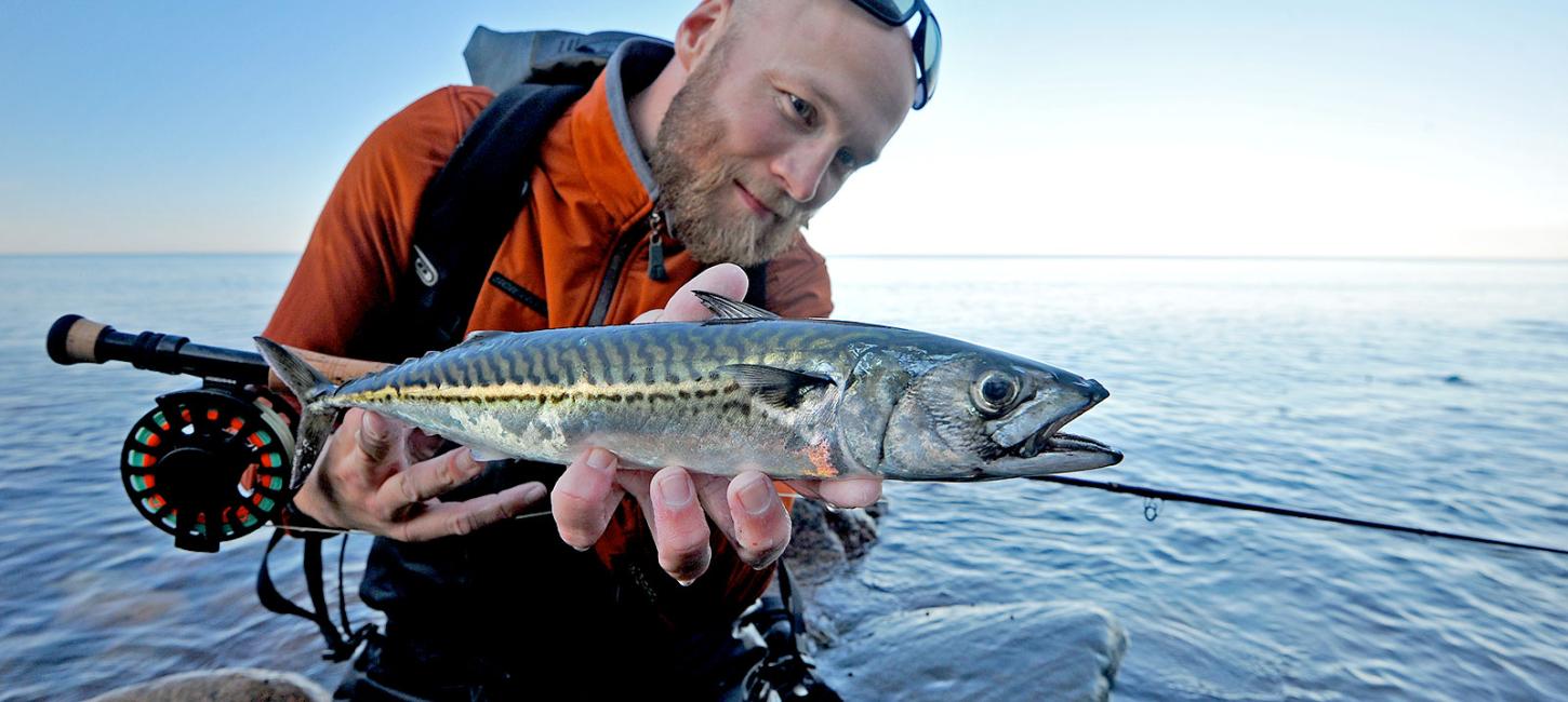 Lystfiskeri | Fiskepladser | Fiskesteder | Odsherred | Sjælland | Danmark