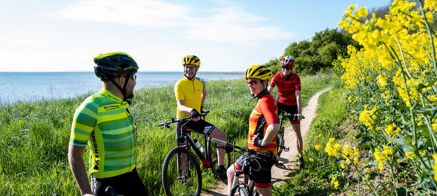 Cykelruter | Cykelkort | Cykeludlejning | Kort over cykelruter | Afmærkede cykelruter | Cykelferie | Odsherred | Sjælland | Vestsjælland | Danmark